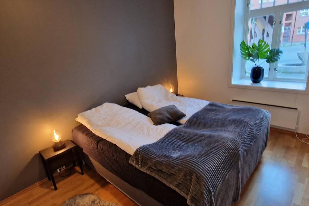 Apartment Sentralt I